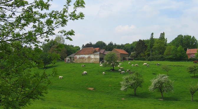 36 – Itinéraire des paysages ruraux à Braine-le-Comte